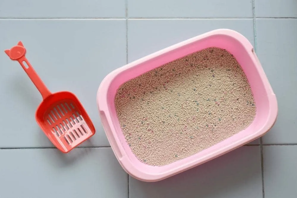 can cat litter be flushed