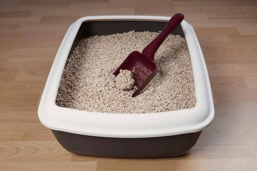 How Do You Make Cat Litter Last Longer Smartly Cat