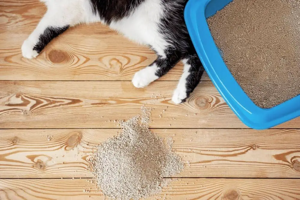 how to keep cat kicking litter out of litter box