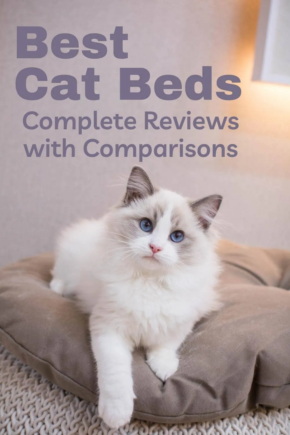 Best Cat Beds