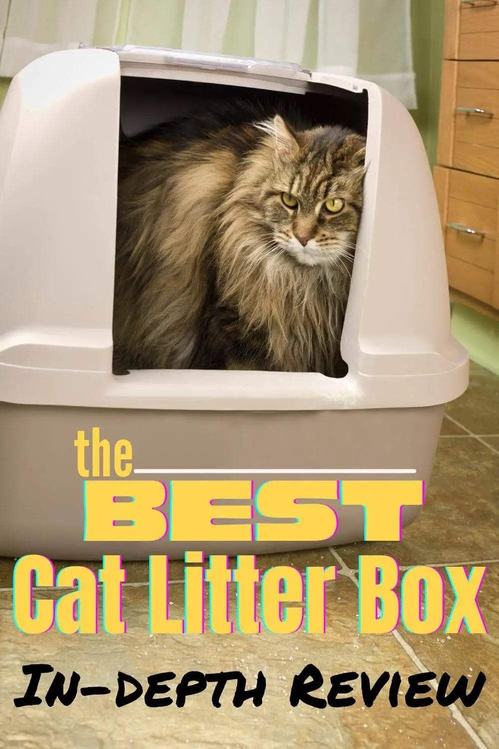 Best Cat Litter Box