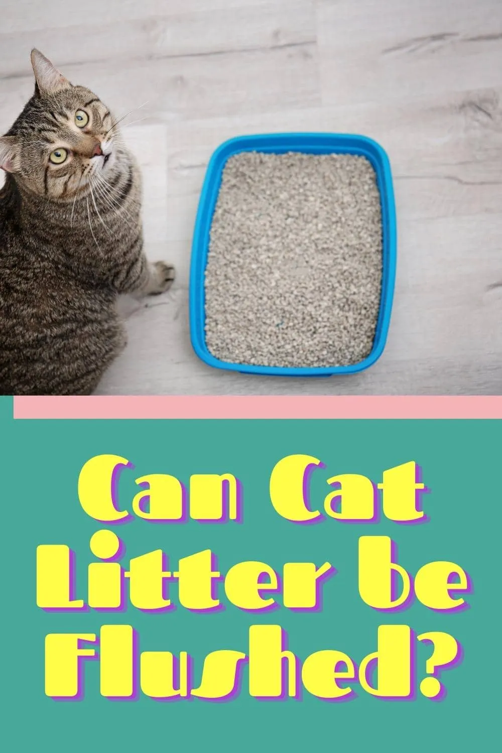 Can Cat Litter be Flushed