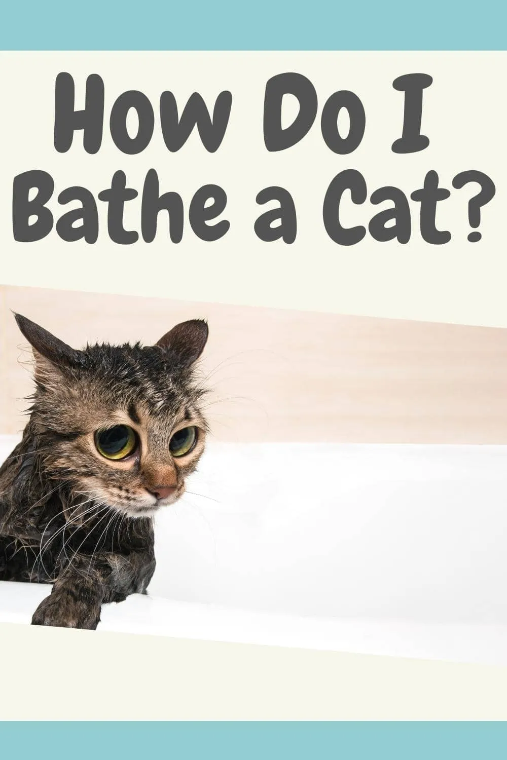 How Do I Bathe a Cat
